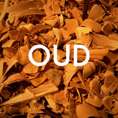Embrace the Essence of Oud with Fragmo Scents